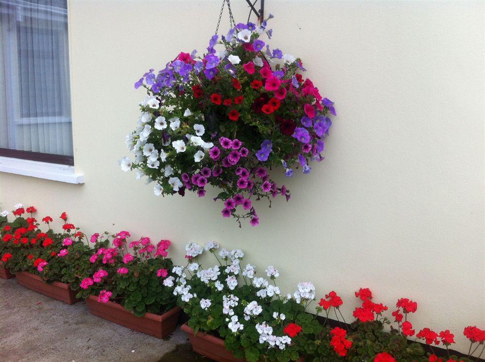 Hillview Self Catering Daire Lusk Dış mekan fotoğraf